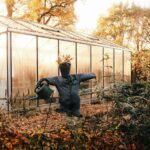 🍂 Fall Landscaping Tips for Mississauga Homeowners