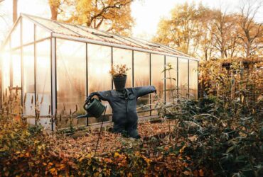 Fall Landscaping tips