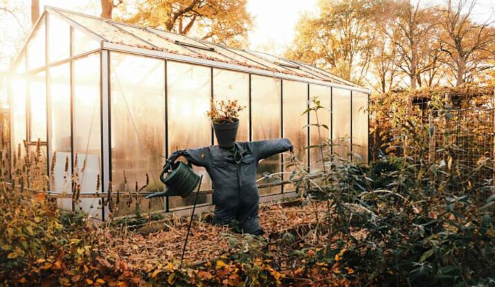 Fall Landscaping tips