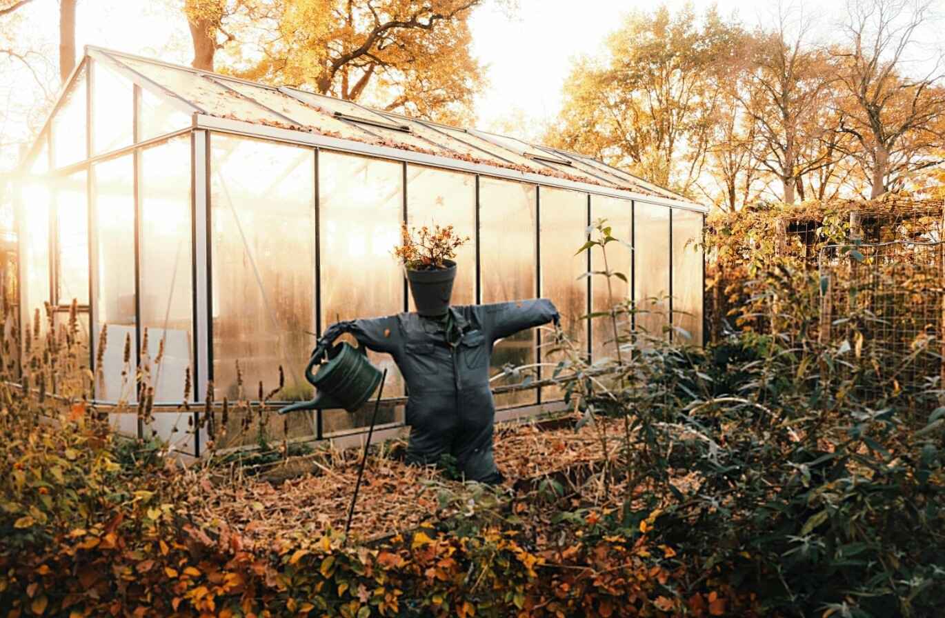 Fall Landscaping tips